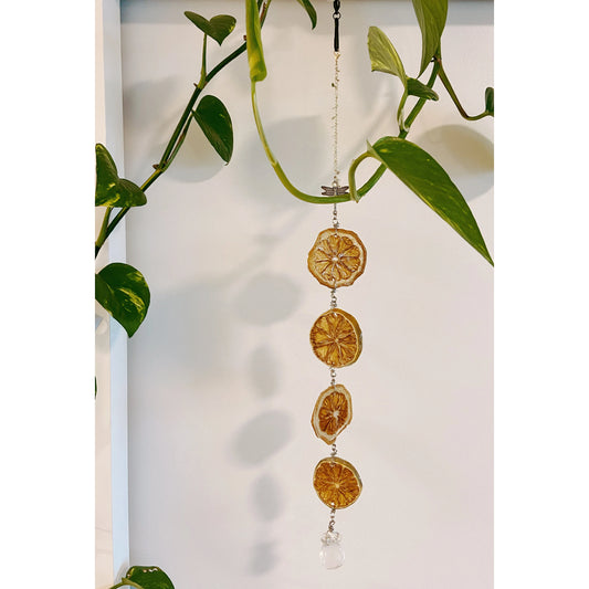 Lemon and Lime Suncatcher