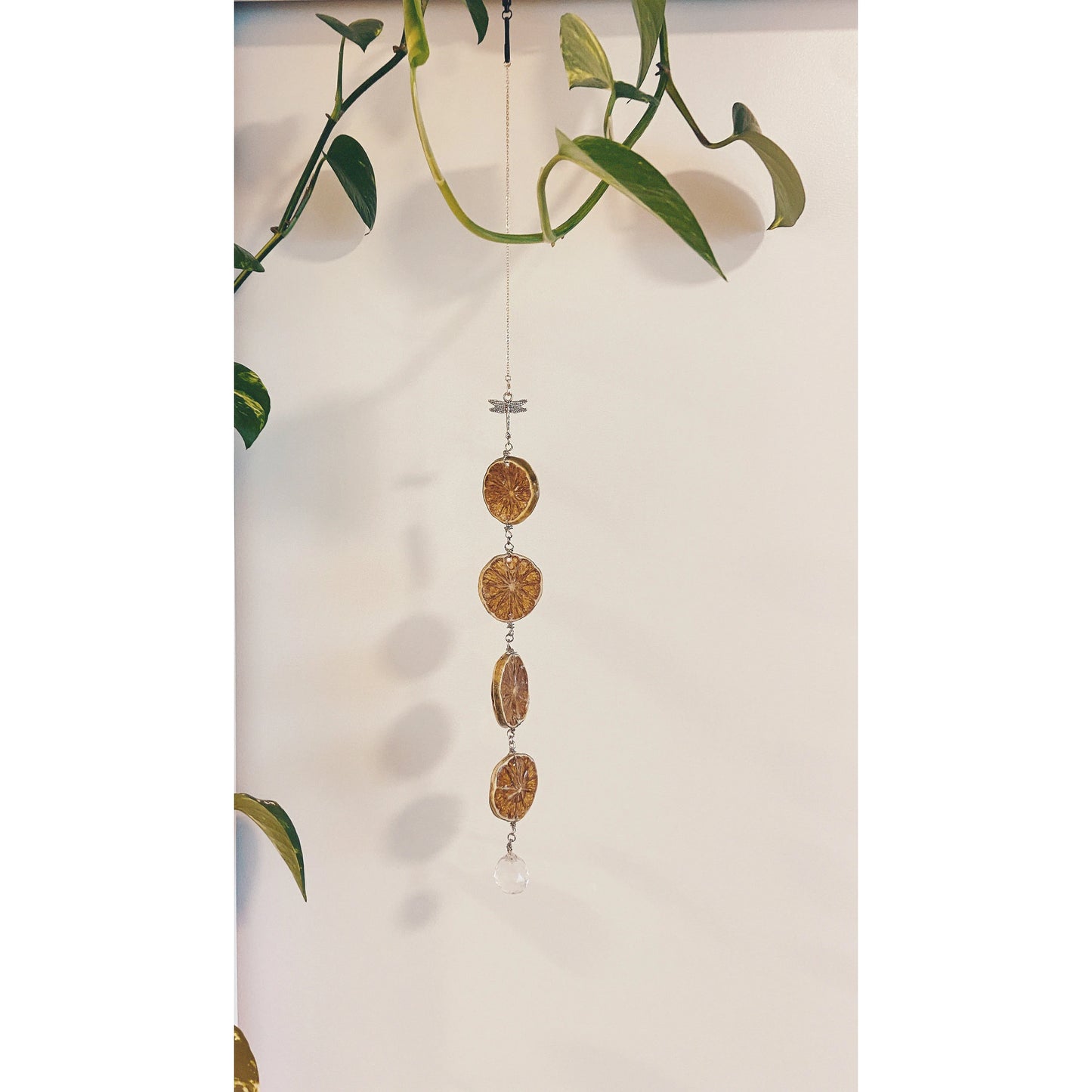 Lemon and Lime Suncatcher